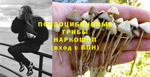 стафф Липки