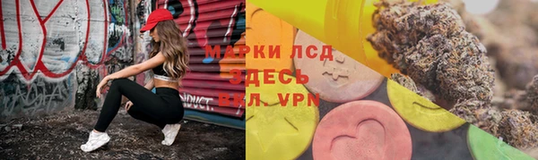 ГАЛЛЮЦИНОГЕННЫЕ ГРИБЫ Лиски