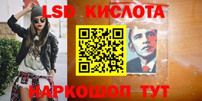гашик Берёзовский