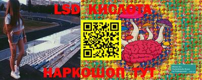 гашик Берёзовский