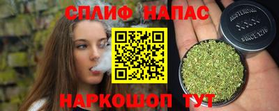 гашик Берёзовский