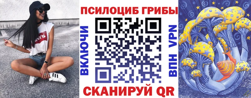 блэк спрут вход  сайты даркнета как зайти  Галлюциногенные грибы прущие грибы  Благодарный 
