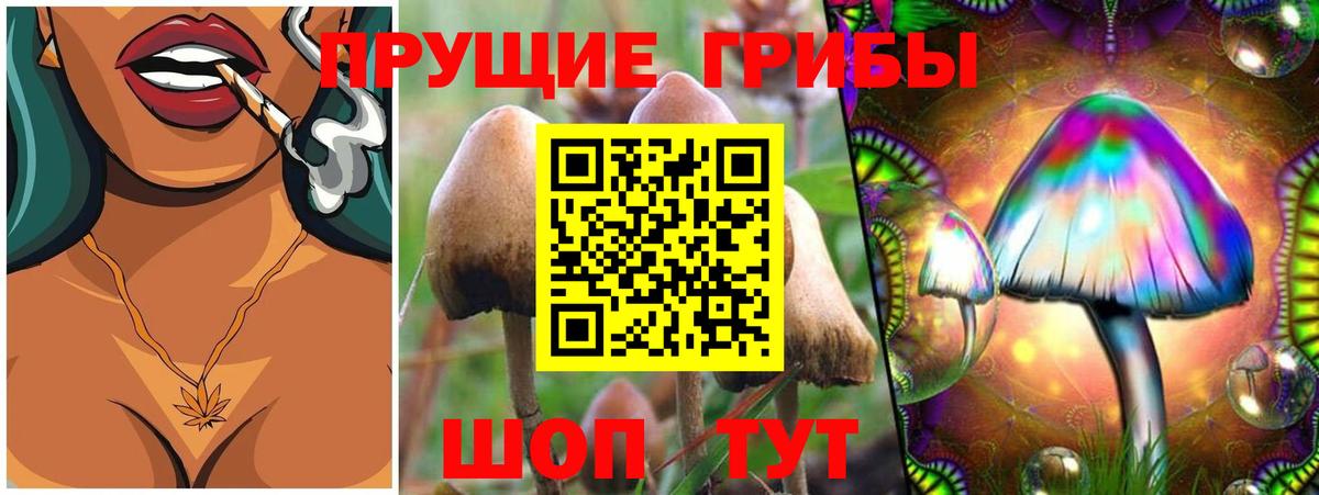 Псилоцибиновые грибы Cubensis Благодарный