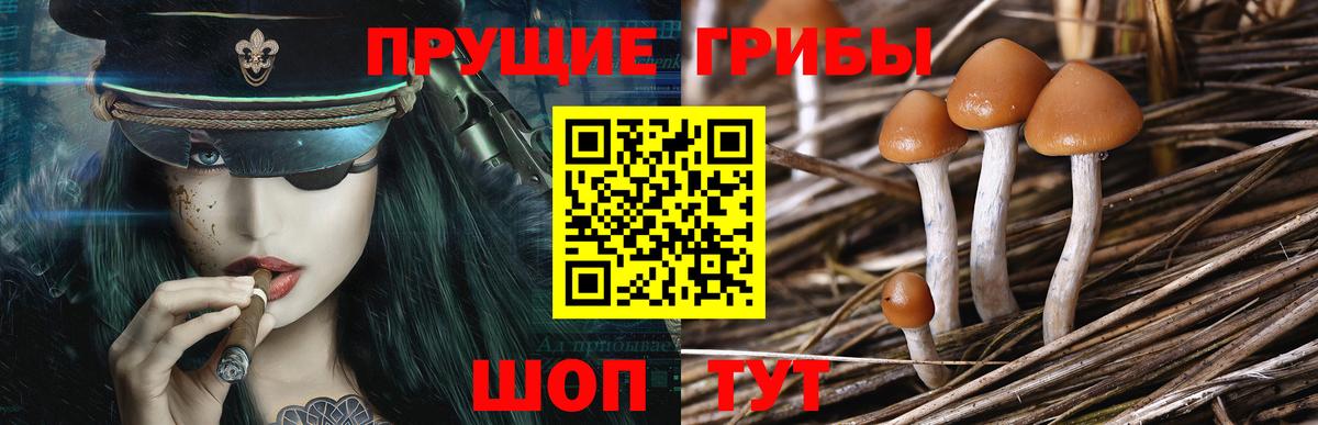 Галлюциногенные грибы MAGIC MUSHROOMS Благодарный