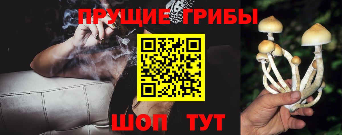 Галлюциногенные грибы GOLDEN TEACHER  Благодарный 