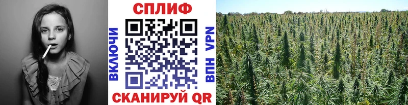 МАРИХУАНА White Widow  Благодарный 